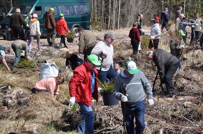 Ar «Pilsētnieku birzs» stādīšanu noslēgsies «Latvijas Meža dienas 2015»