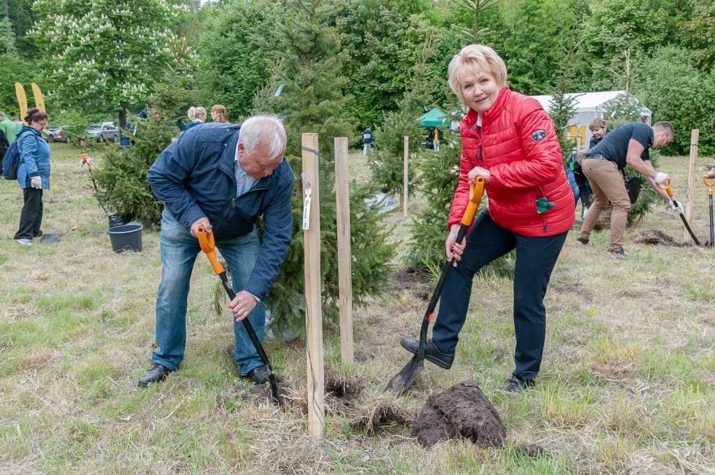 FOTO: Ar «Pilsētnieku birzs» stādīšanu noslēdzas «Latvijas Meža dienas 2015»