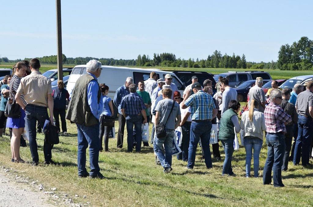 Lauka dienā mācās audzēt pupas (FOTO)