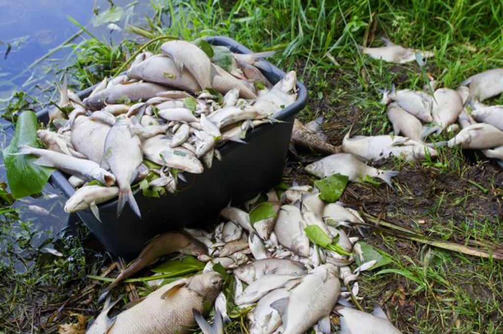 Tukuma novada dome izsludina ārkārtas stāvokli pilsētas attīrīšanas iekārtās un Slocenes upē