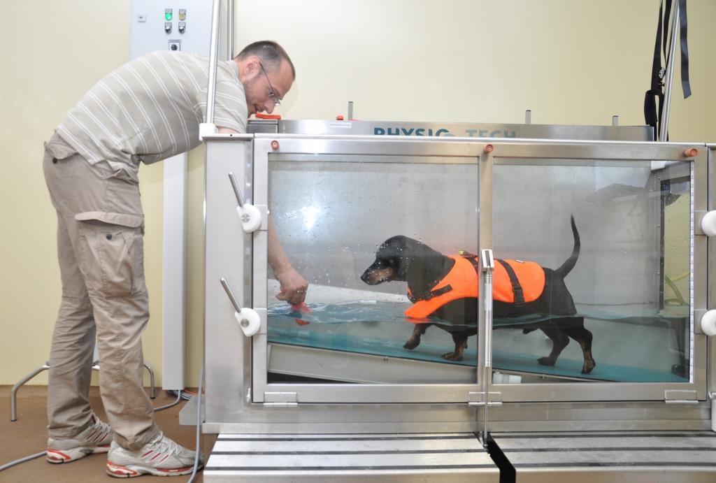 LLU Veterinārajā klīnikā uzstādīts Baltijā pirmais zemūdens skrejceļš dzīvnieku rehabilitācijai