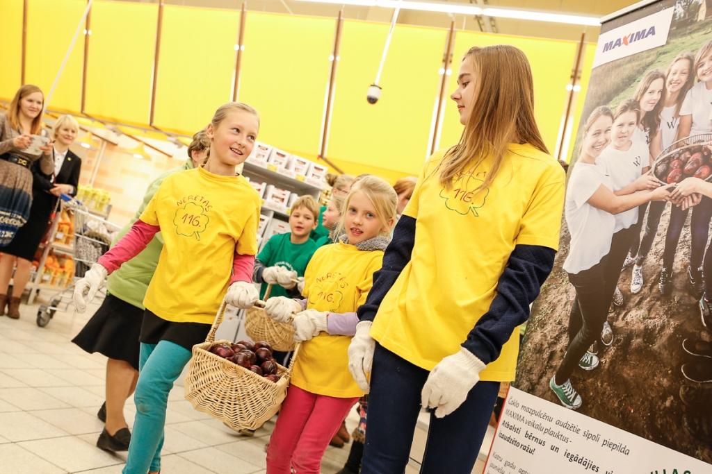 Mazpulcēnu izaudzētie sarkanie sīpoli nopērkami visā Latvijā (FOTO)