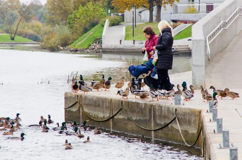 Lietus trūkums rada bažas lauksaimniekiem (FOTO)