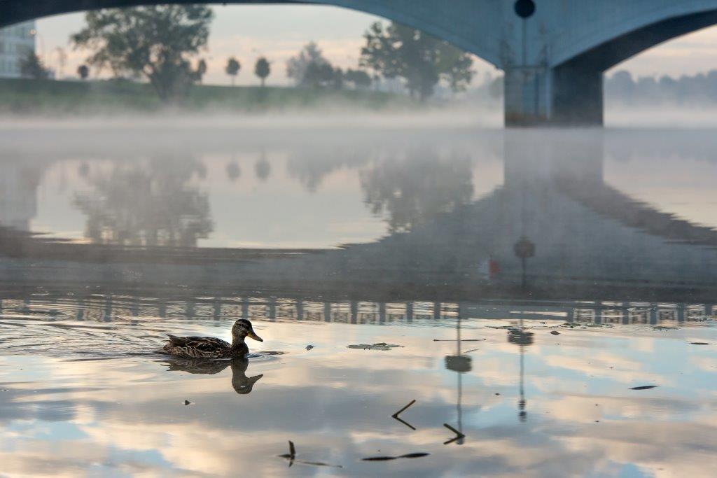 Izsludināts jauns fotokonkurss «Mana Jelgava»