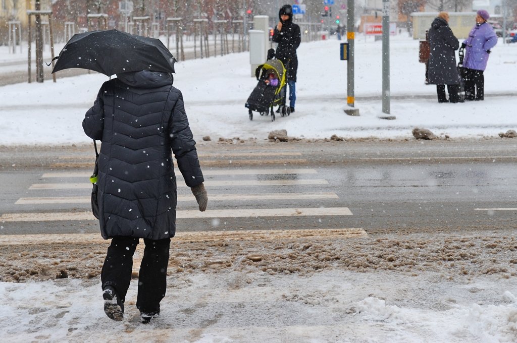 Lietu par mazgadīgas personas notriekšanu uz gājēju pārejas Jelgavā tiesa skatīs februārī