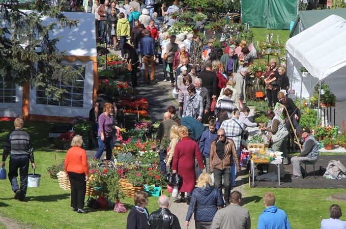 Stādu dienām Jelgavā tirgotāji var pieteikties līdz 25.aprīlim
