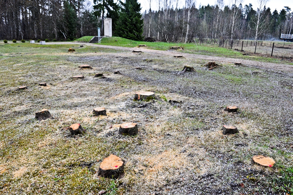 Strīdīgi sāk labiekārtot Brīvības cīņu pieminekli pie Skuju skolas (FOTO)