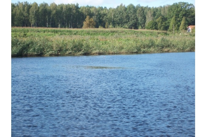  Lielupē atļautas zemūdens medības