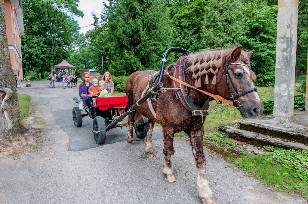 Audžuģimeņu salidojums Lielplatonē (FOTO) (papildināts)