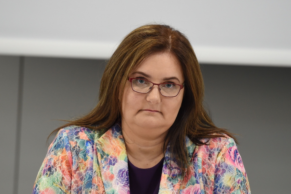 Pelēkā: Atsevišķas personas uz VID pretimnākšanu reaģē ar «smiešanos sejā»