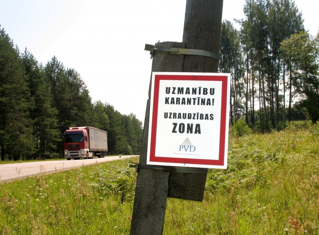 Āfrikas cūku mēris konstatēts mājas cūkām Gulbenes novada Rankas pagastā