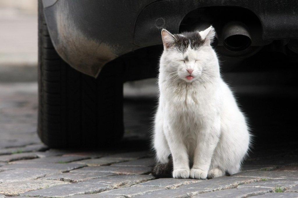 Atcels auto nodokli un no 2019. gada palielinās izmešu nodokli (papildināts 15:10)