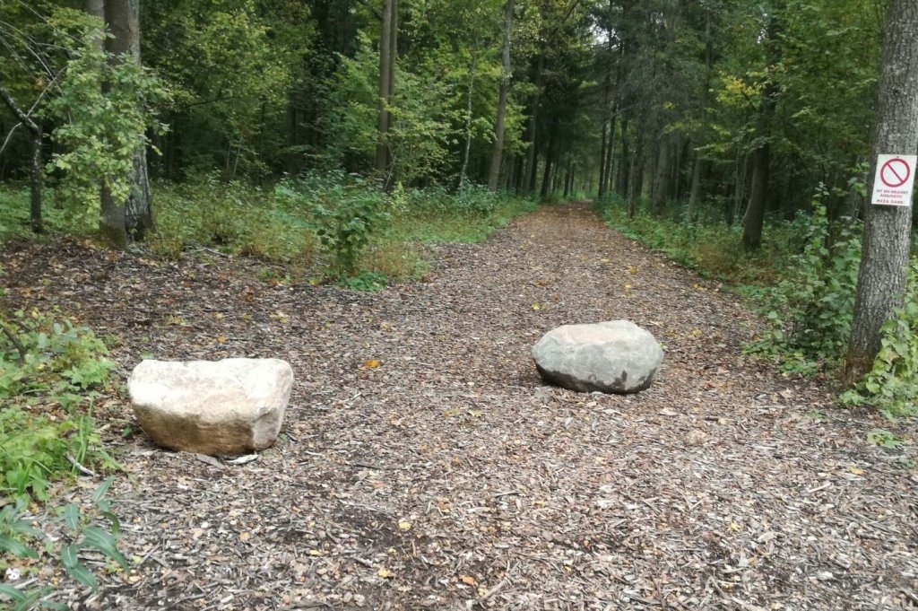Lielizmēra koksnes konstrukciju zinātniskās pētniecības centrā «IKTK» top tiltiņi un laipas Langervaldes mežam (FOTO)