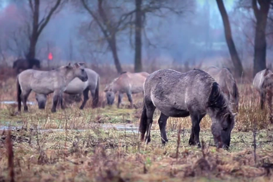 BJMK noslēdzies projekts «Ceļojošā dziesma» (VIDEO)