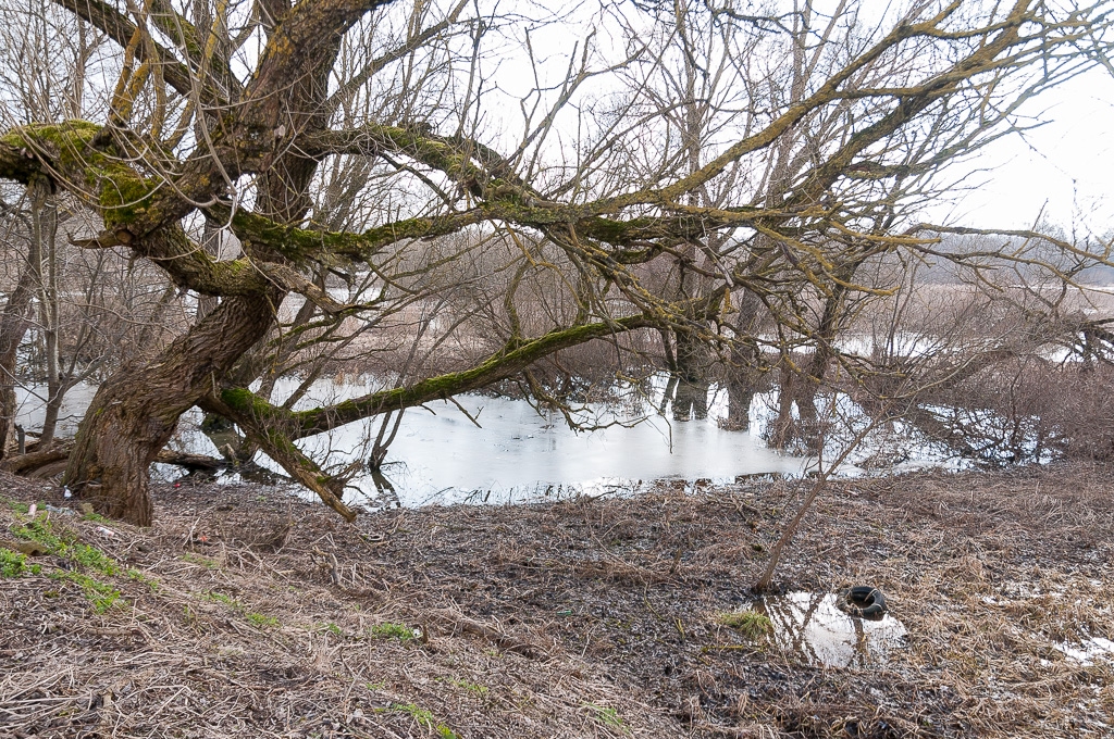 Izkustējies ledus sastrēgums Lielupē pie Jelgavas (FOTO)