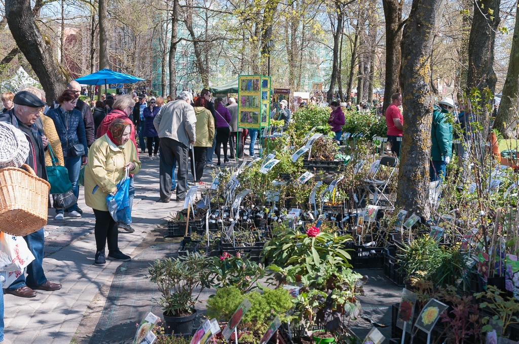 Stādu dienas pulcē simtiem apmeklētāju (FOTO)