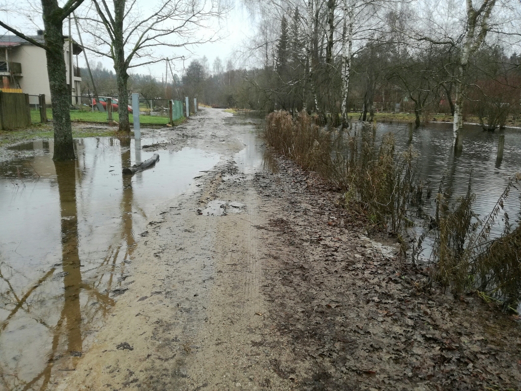 Applūst Būriņu ceļš un Vilpleķu strauta apkārtnes dārzi (FOTO)