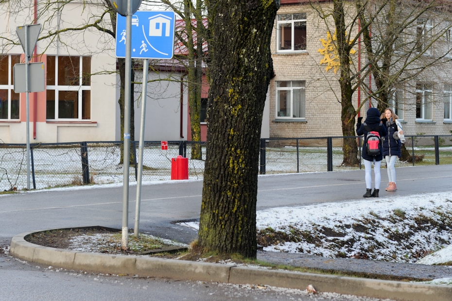 Lūgs Institūta ielas ietves remontu iekļaut šīgada budžetā (FOTO)