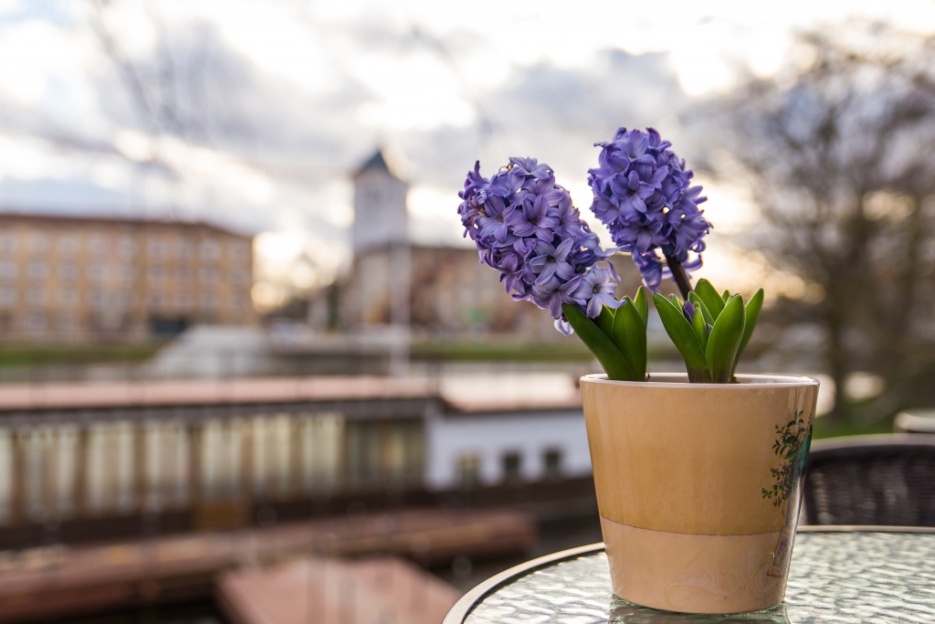 Simtgades gadā aicina fotografēt Jelgavu 