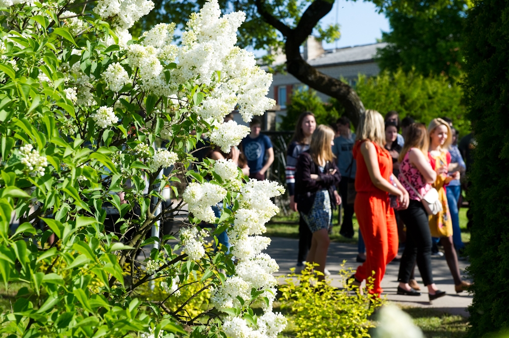 Zemgales kultūras programmā atbalstīti 60 projekti