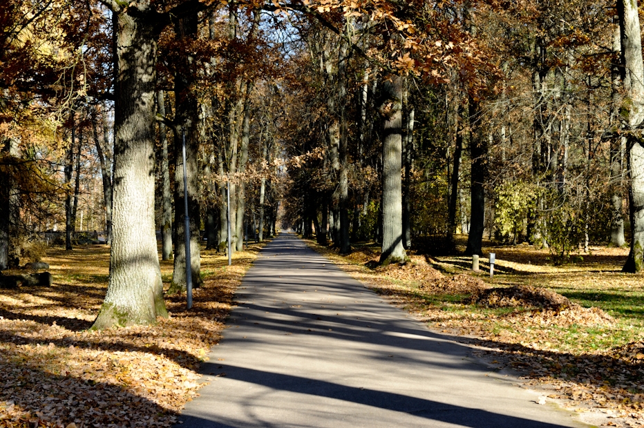 Labiekārtos četrus Zemgales un Ziemeļlietuvas muižu un piļu parkus