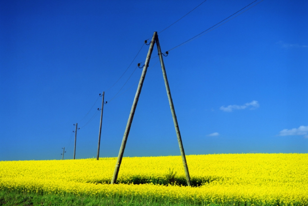 AS “Sadales tīkls” atjaunos un izbūvēs elektrolīnijas