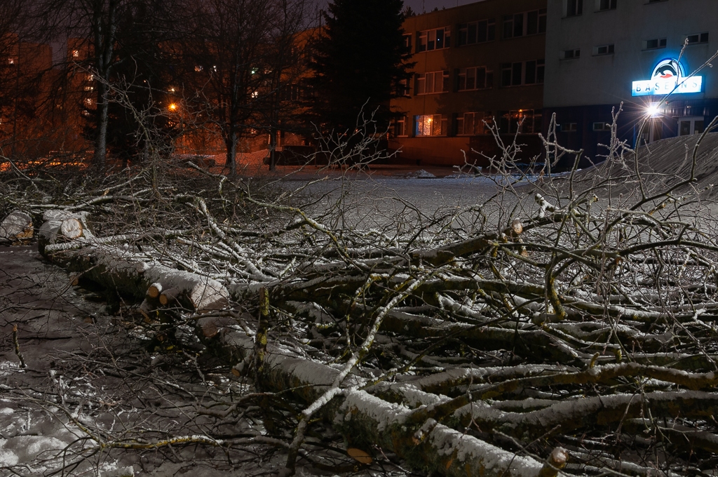 Loka maģistrāles zaļā rota atjaunosies pēc gadiem trīsdesmit (FOTO) 