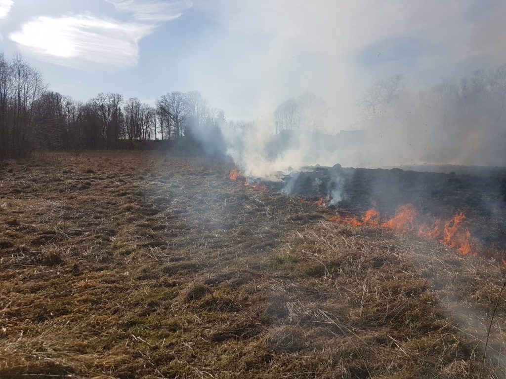 Svētes pagastā  degusi kūla trīs hektāru platībā