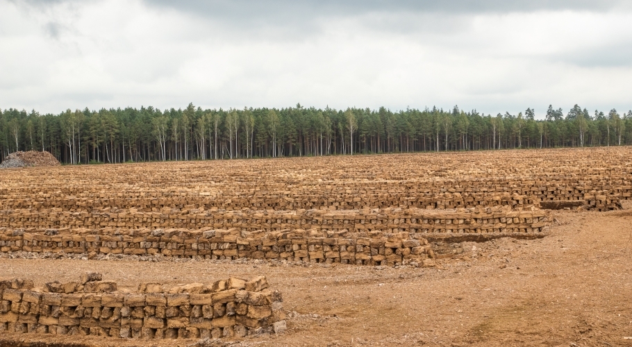 Jelgavas novada svētkos būs apskatāmas kūdras skulptūras