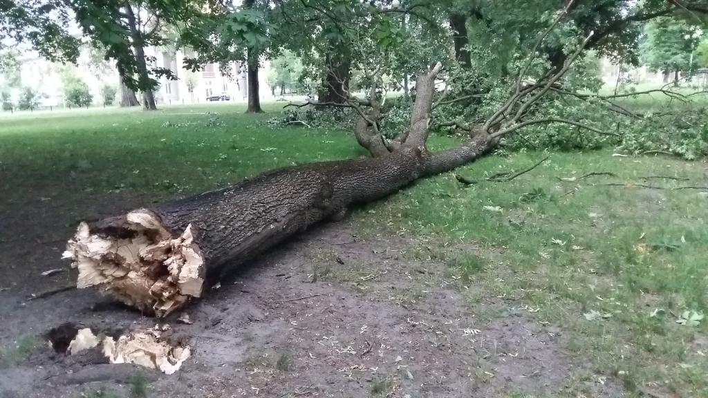 Saistībā ar negaisu un lielo vējo, Zemgalē saņemti 19 izsaukumi