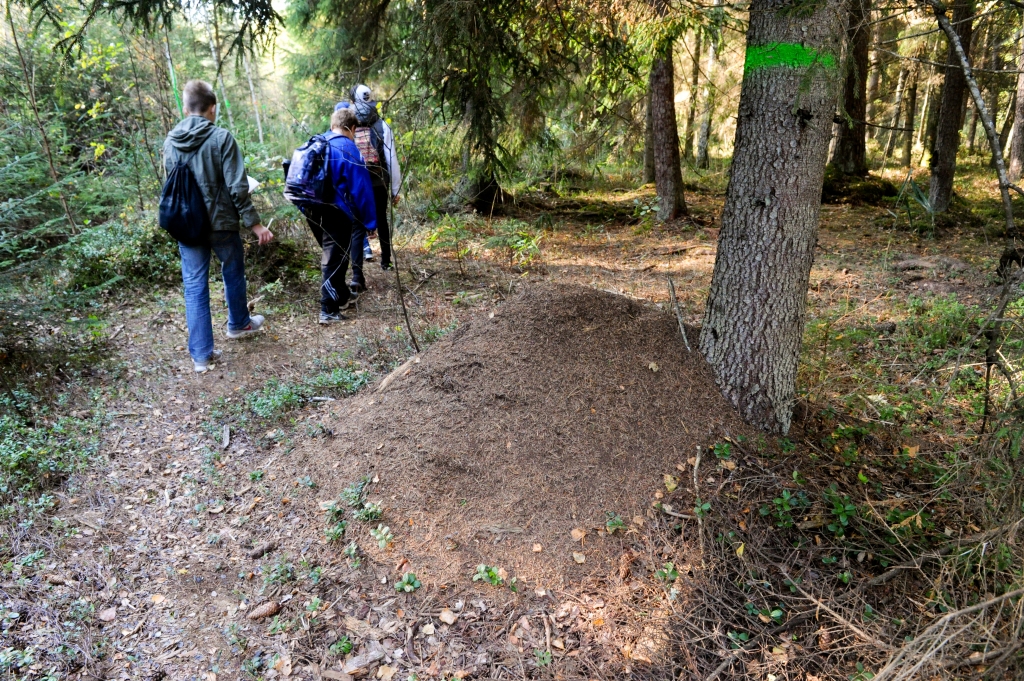 Spīdolieši mācīsies skolas mežā