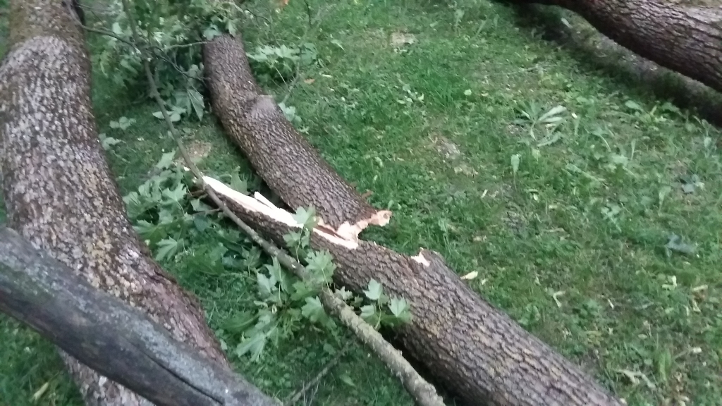Svētdien būs lietains un vētrains laiks, vējš var lauzt kokus