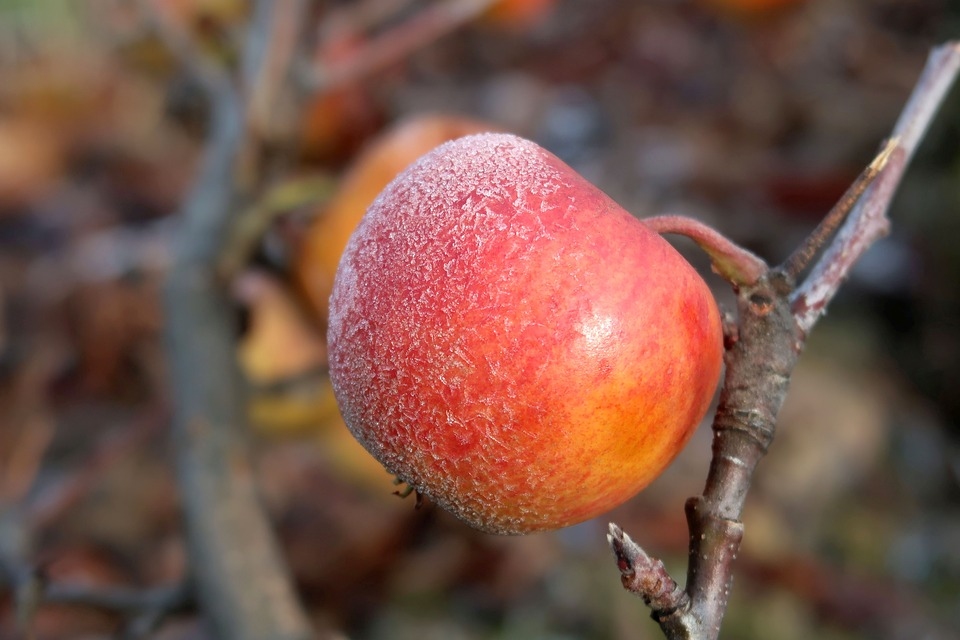 Astronomiskais rudens pirmdien sāksies ar saltāko rītu kopš pavasara