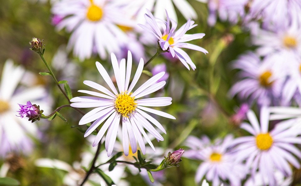 Otrdien pūtīs stiprs vējš un saule mīsies ar mākoņiem