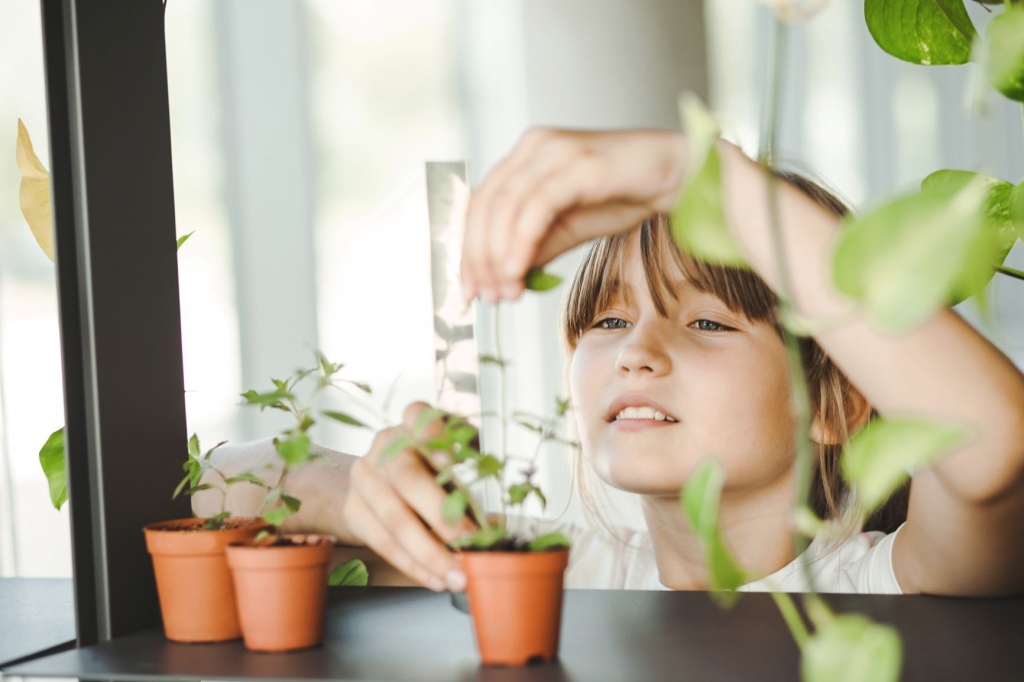 Jelgavā notiks Skola2030 konference par vērtībām izglītībā