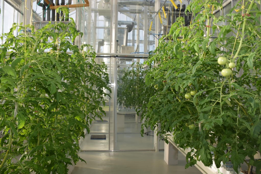LLU pilnveido biozinātņu un tehnoloģiju pētījumiem nepieciešamo infrastruktūru; nākamnedēļ atklās jaunas telpas