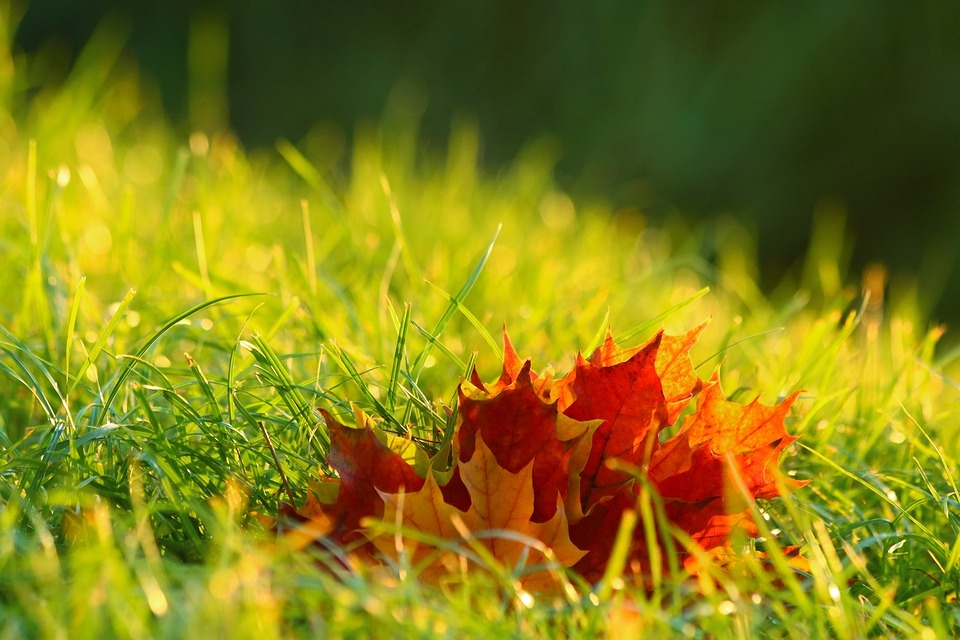 Pirmdien pūtīs lēns vējš un saule mīsies ar mākoņiem