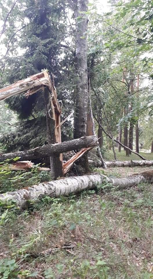 Zemgalē ugunsdzēsēji glābēji 21 reizi likvidēja spēcīgā vēja radītās sekas