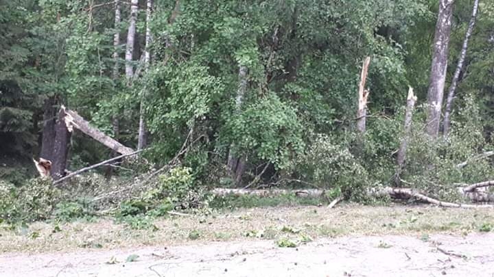 Nedēļas nogalē Jelgavā dega māja; ugunsdzēsēji glābēji likvidē spēcīgā vēja radītās sekas