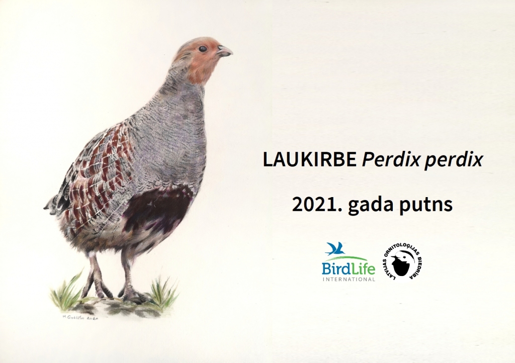 Par 2021.gada putnu izvēlēta laukirbe