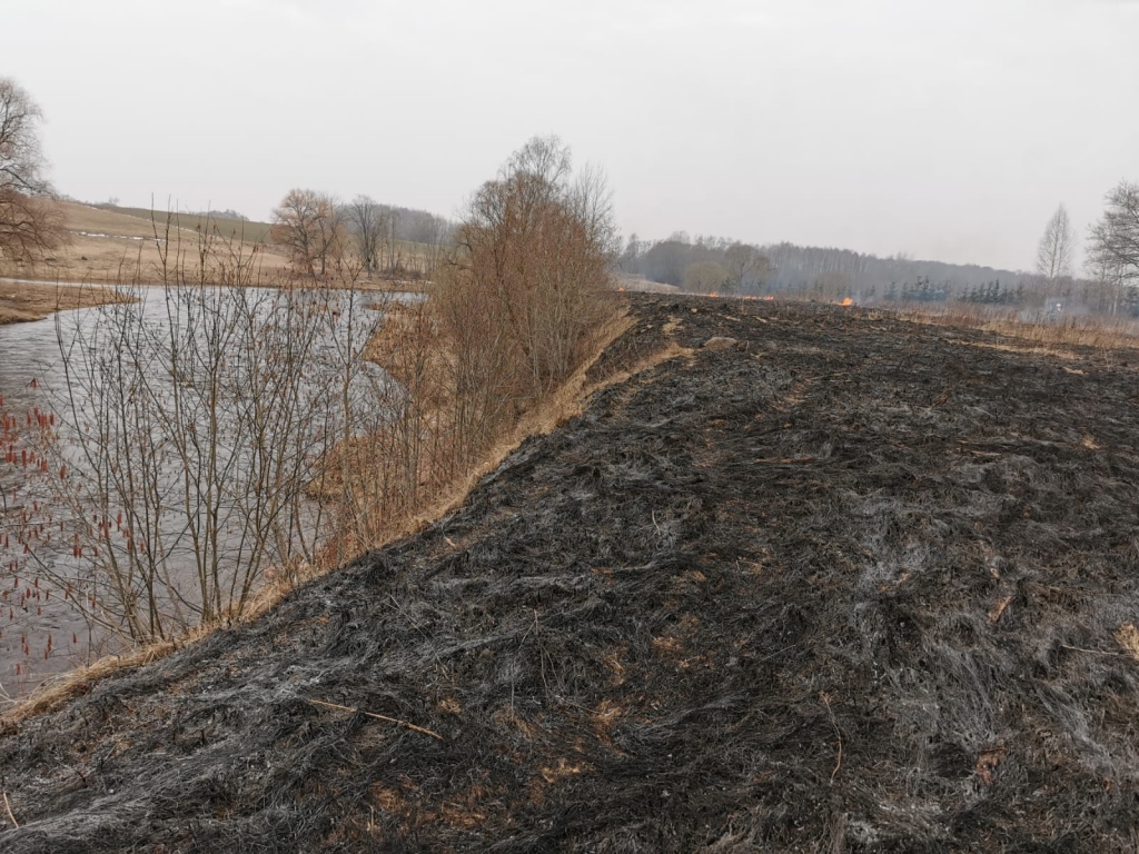 Sestdien reģistrēts šogad lielākais kūlas ugunsgrēku skaits diennakts laikā