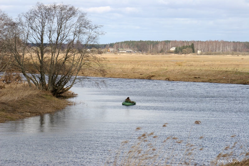 Valsts vides dienesta vides inspektori reidu laikā Lielupē pieķer makšķerniekus ar nelikumīgi lomā paturētām vimbām