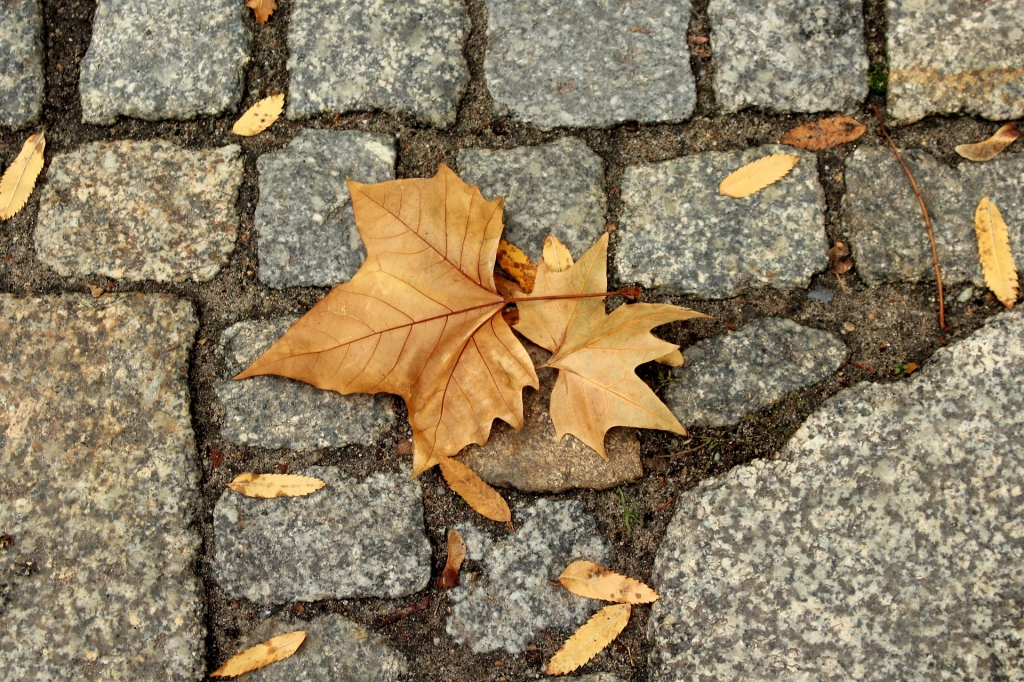 Piektdien laiks kļūs saulaināks