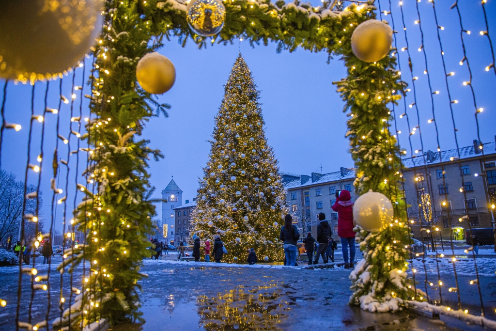 Iedegta Jelgavas galvenā egle (FOTO)