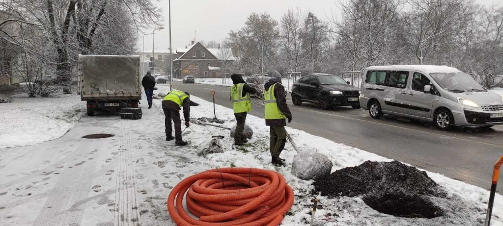 Jelgavā pie Ozolskvēra un Lielajā ielā iestādītas sudraba kļavas