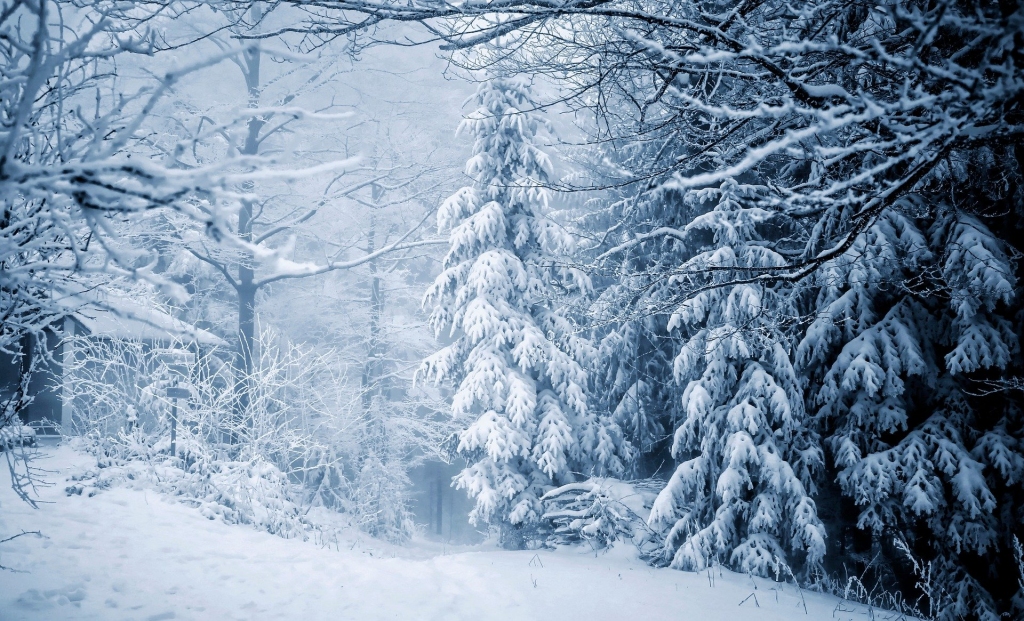 Decembra pirmajā dienā dažviet stipri snigs; brīdinājums spēkā arī Rīgā