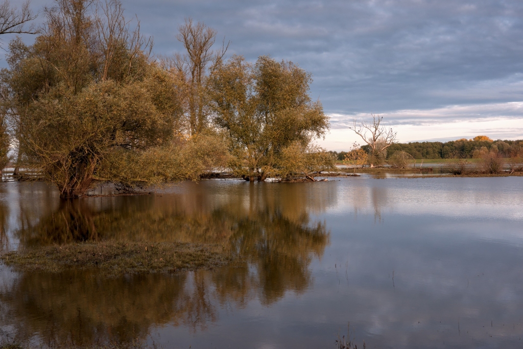 Decembra vidū Latvijā iespējami pali