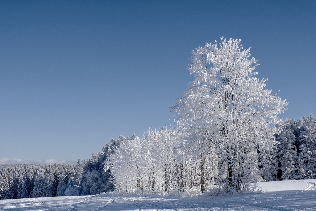 Gaisa temperatūra valstī no -5 līdz -29 grādiem